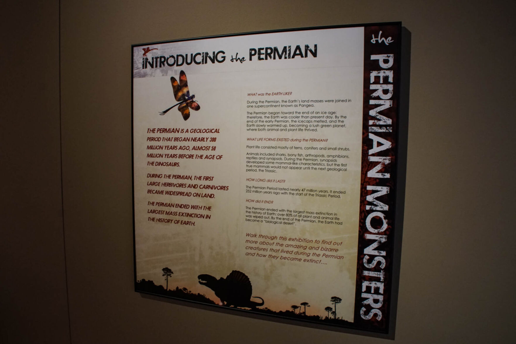 Introducing the Permian
